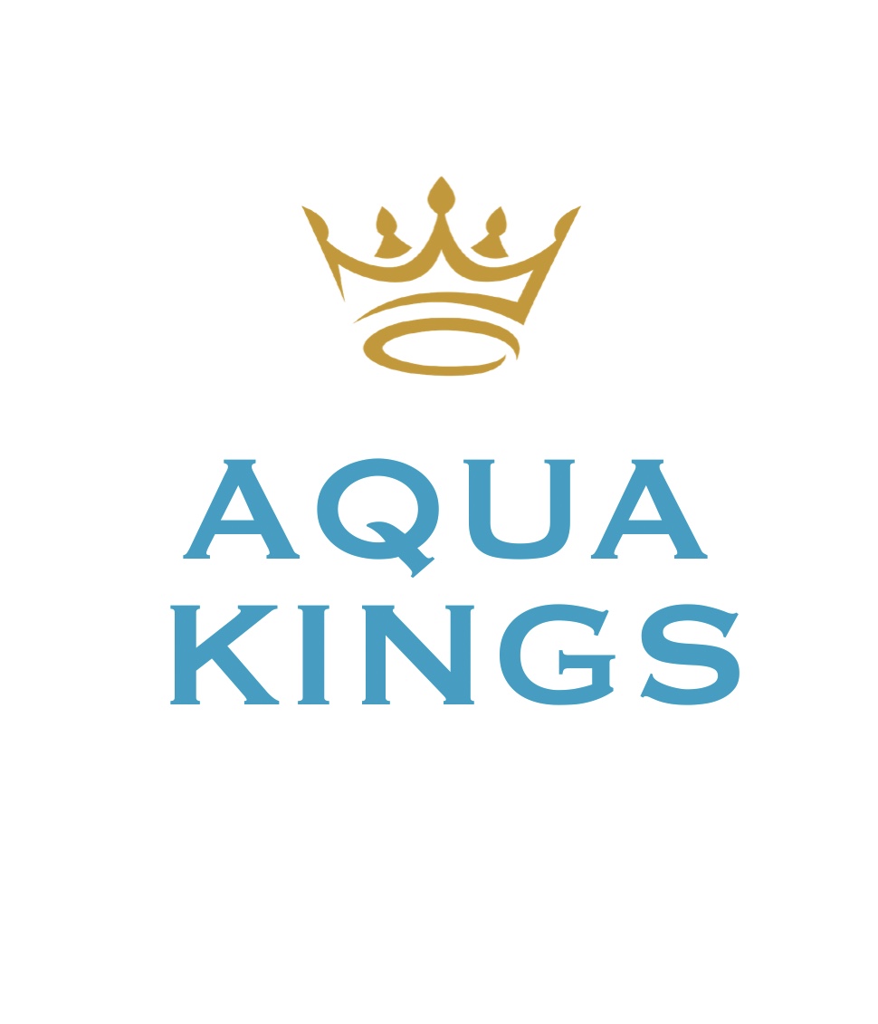 Школа плавания для детей и взрослых AquaKings