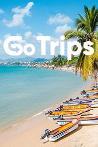 Туристическая компания «GoTrips»