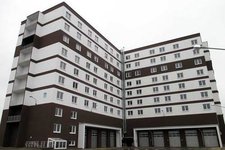 Дельфин групп