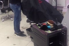 Дикая орхидея на Притыцкого