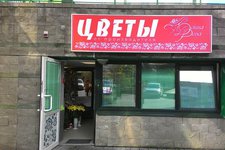 Донна Роза на Беды