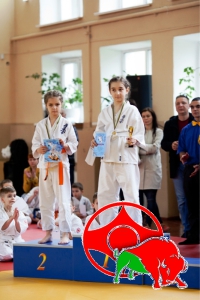 «Каратэ Киокушинкай» клуб «Снежный барс»