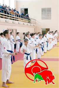 «Каратэ Киокушинкай» клуб «Снежный барс»