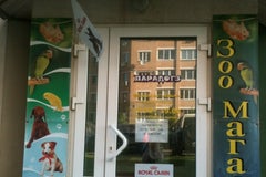 Парадогз