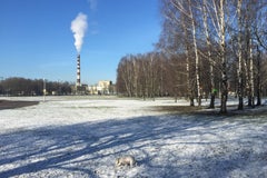 Парк дружбы народов