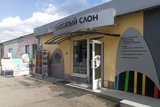 Полосатый слон 1
