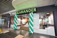 Саламандер / Salamander