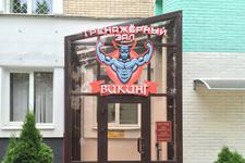 Викинг на Бурдейного