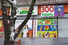 ТоОмМи'К