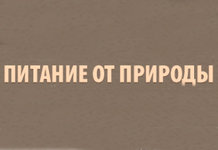 Зоовет
