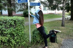 Зеленый бор